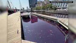 Crews clean up 2,000-gallon fuel spill in Baltimore’s harbor